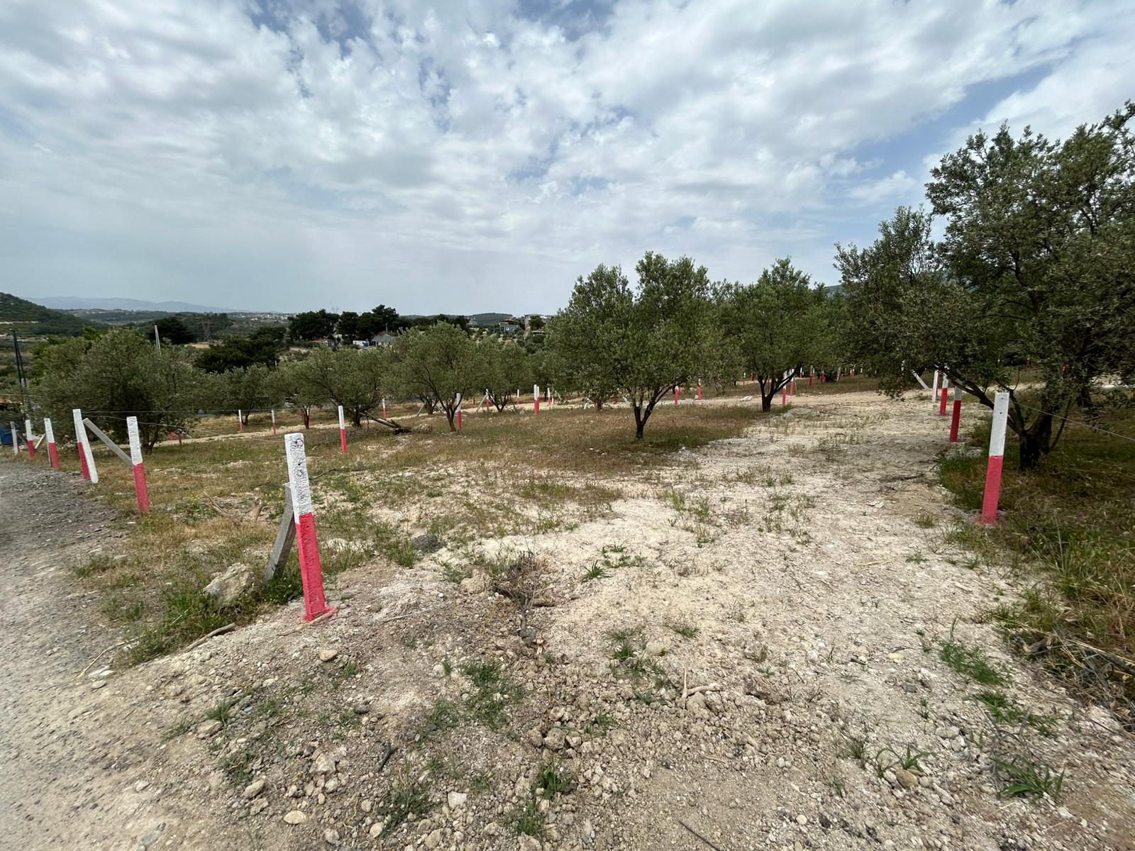 Gülümseyen 45 yaşında erkek portresi, kısa siyah saçlı, açık tenli